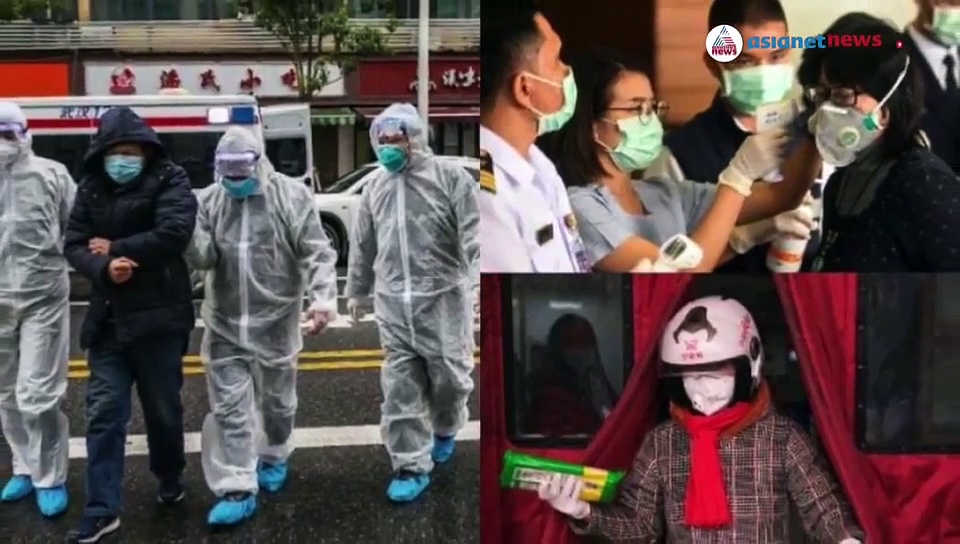 നായകളെക്കൊണ്ട് മണത്ത് കൊവിഡ്  വൈറസിനെ കണ്ടെത്താൻ ശ്രമം; വിജയിച്ചാൽ വലിയ നേട്ടം