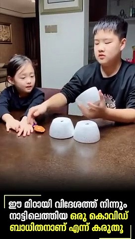 എങ്ങനെയാണ് വിദേശത്ത് നിന്നെത്തുന്നവരിൽ നിന്ന് നാട്ടിൽ രോഗം പടരുന്നത്...