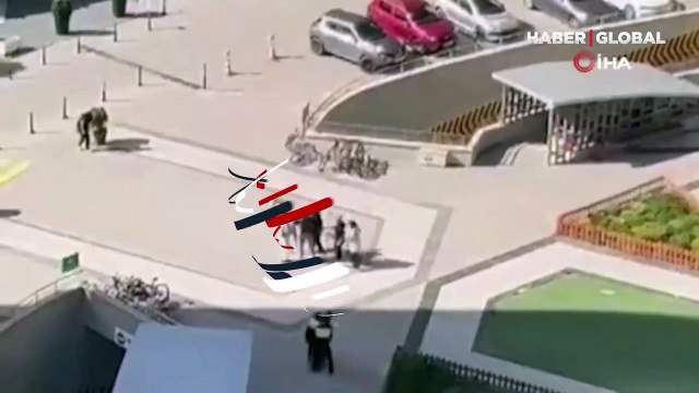 Site içindeki sokak köpeklerine saldırıp, köpekleri korumaya çalışan kadını darp etti