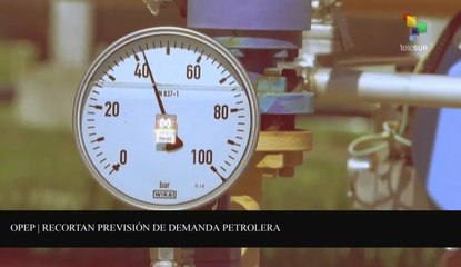 Agenda Abierta 02-06: La OPEP redefine estrategias ante demanda petrolera