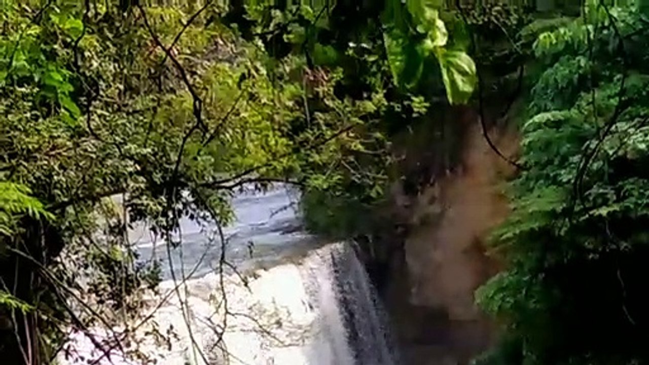 Air terjun lokal. East java