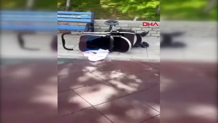 Bebek arabasından bir anda çıktı! Gözlerine inanamadılar