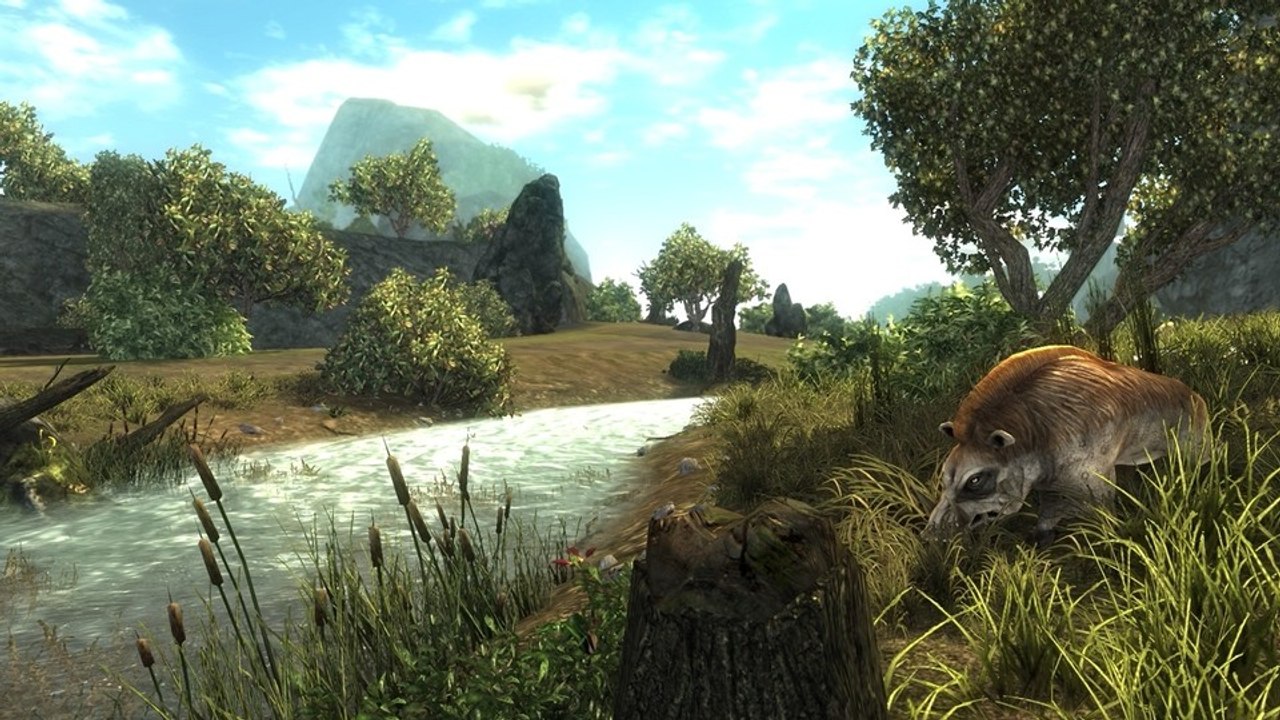 Risen - Test-Video