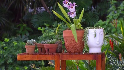 bd-uso-de-la-madera-para-la-decoracion-de-su-jardin-020622