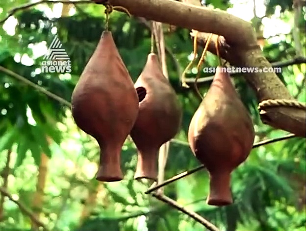 അര്‍ബുദത്തിന് മരുന്നുണ്ട്, ചങ്ങായിമാരാണത്;കുറ്റിപ്പുറം ആശ്രമവാടി വീട്ടിലെ മുസ്തഫ ഹൈദര്‍ പറയുന്നു