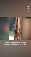Woodpecker Mistakes Woman's Hair for Nest in Viral Clip