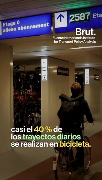 4 ciudades que promueven el uso de la bicicleta