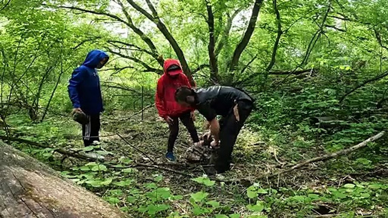Il passe une nuit dans une cabane en forêt en pleine tempête... moment terrifiant
