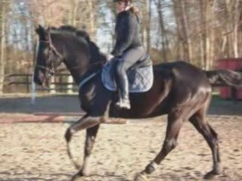 Louchier par Renia