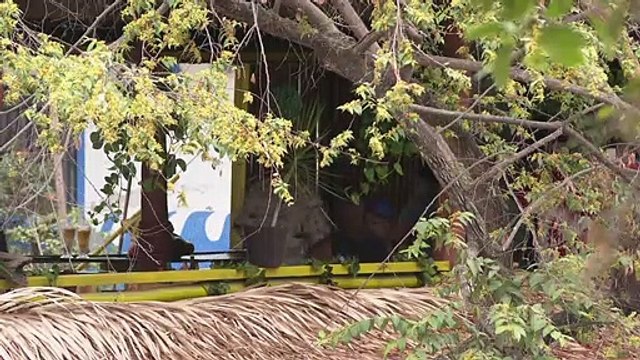 Llevan a Cabildo tema de construcción en lecho del rio Cuale | CPS Noticias Puerto Vallarta