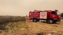 GAZİANTEP - 15 dönüm tarım arazisi yangında zarar gördü