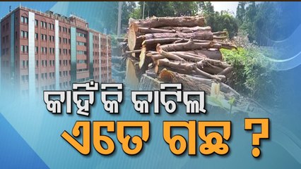 下载视频: Orissa HC seeks affidavit from govt on felling of trees for MLA quarters