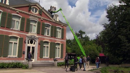 Гнездующиеся в Бельгии аисты переживают "бэбибум"