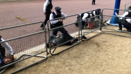 Jubilé de la Reine : la parade militaire perturbée par des militants écologistes