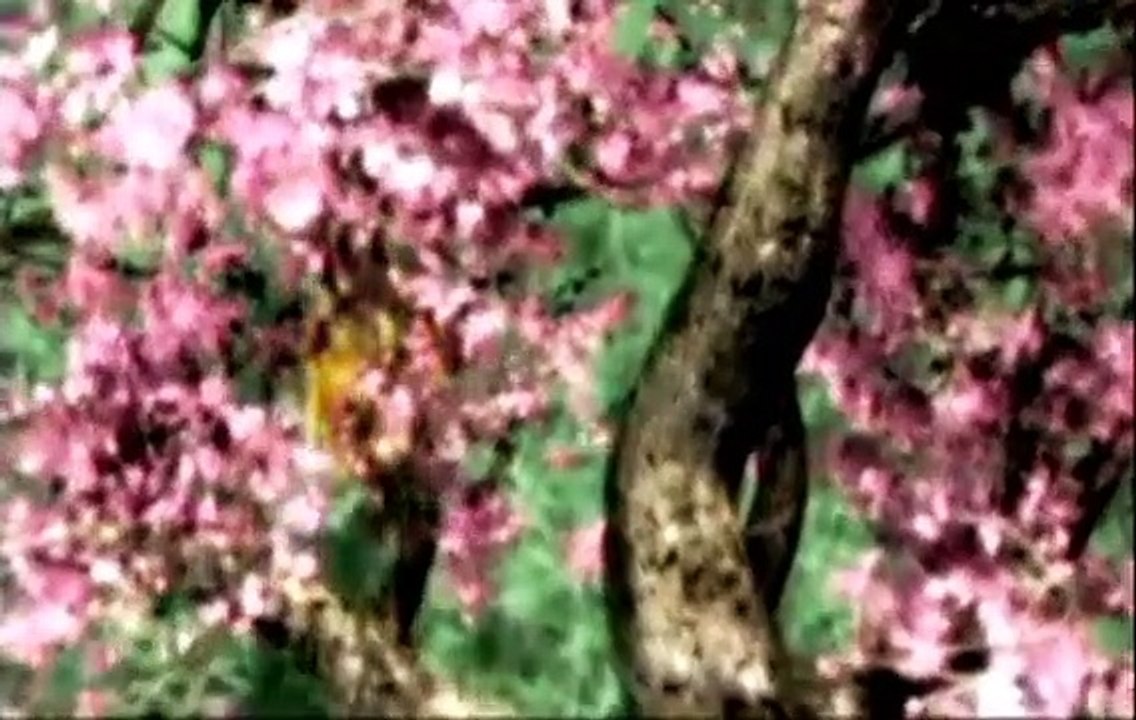 Magna Carta: Tears of Blood #1