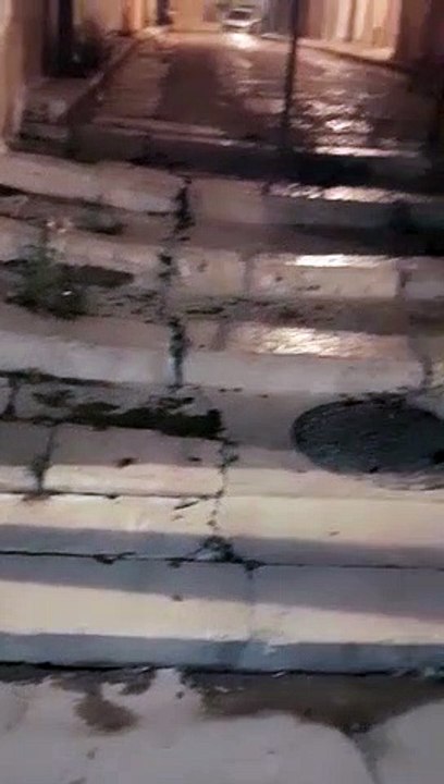 Andria, scarafaggi tra via Porta Nuova - via Mura Porta Nuova