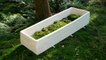 “Living Coffin” Made From Mushrooms Enriches Life After Death