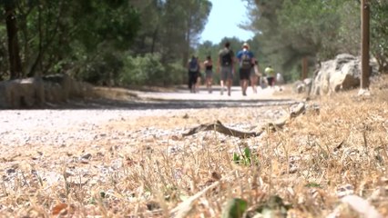 Accès aux massifs forestiers : connaissez-vous la réglementation ?