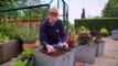 The Beechgrove Garden 2022 episode 9