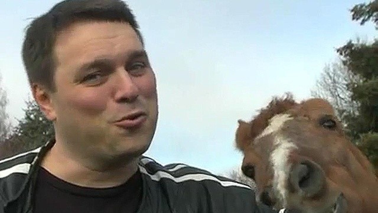 Kings and Castles -  Videoblog #1