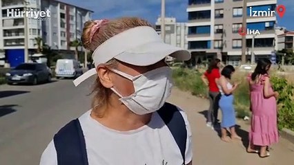 İzmir'de zehirlenen kedi ve köpekler telef oldu