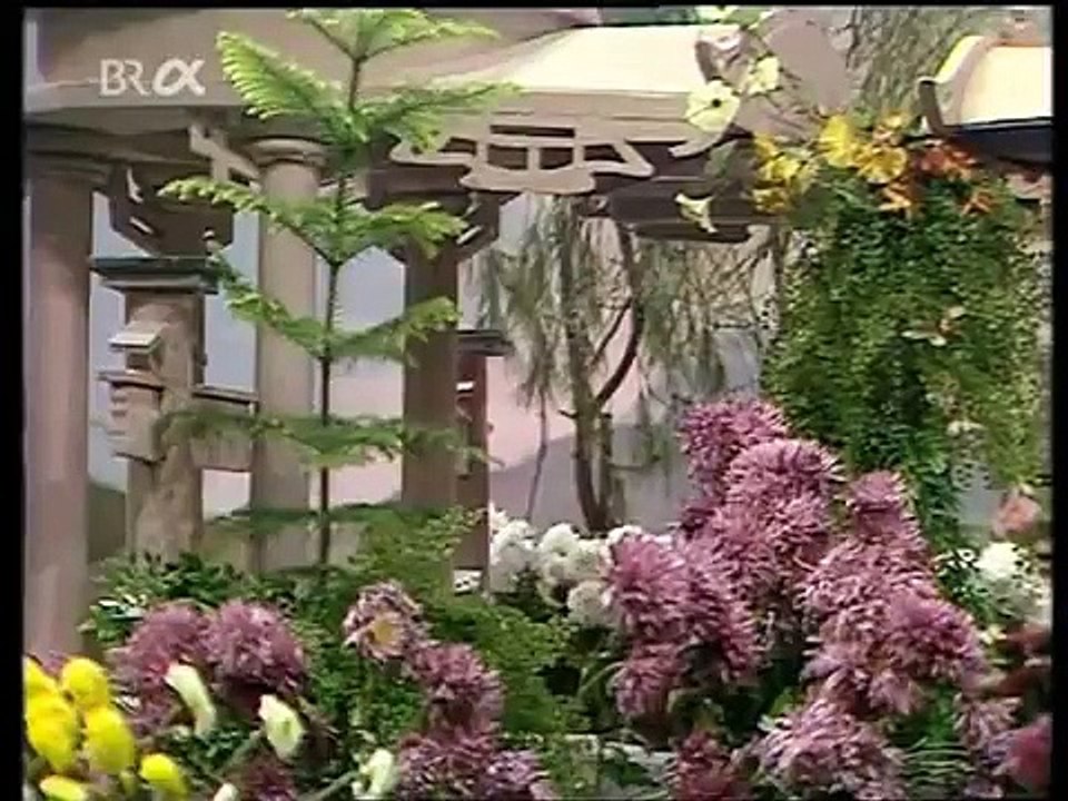 Die Blumen des Herrn Mah