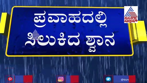 ಮಲಪ್ರಭಾ ಪ್ರವಾಹದಲ್ಲಿ ಕೊಚ್ಚಿ ಹೋಗುತ್ತಿದ್ದ ಶ್ವಾನ ಪಾರು