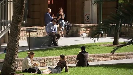 Companies entice staff with 'high quality' experiences to encourage returning to the office