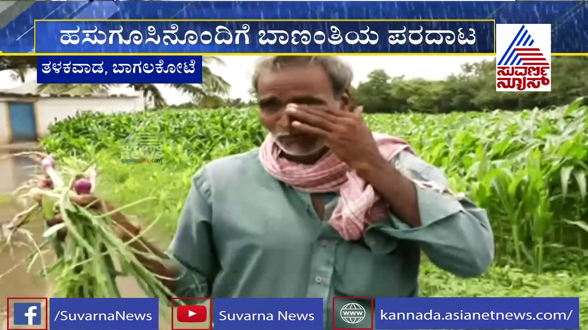 ಭಾರೀ ಮಳೆಗೆ ತುಂಬಿದ ಮಲಪ್ರಭೆ; ಬೆಳೆಗಳು ಜಲಾವೃತ, ಕಣ್ಣೀರಿಟ್ಟ ರೈತ.!