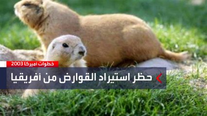 خطوات منعت تفشي جدري القرود عام 2003