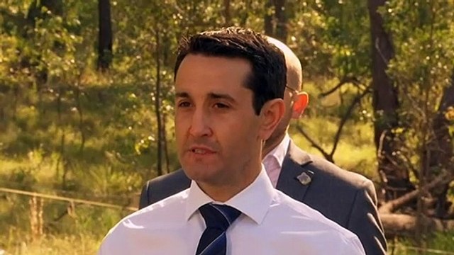 Qld premier open to forensics examination after DNA testing failures