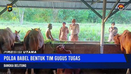 Polda Babel Dukung Penuh Penanganan PMK Ternak Melalui Sosialiasi Program Ragam Bhayangkara
