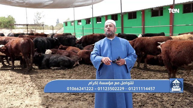 جهود مؤسسة إكرام في مساعدة المحتاجين