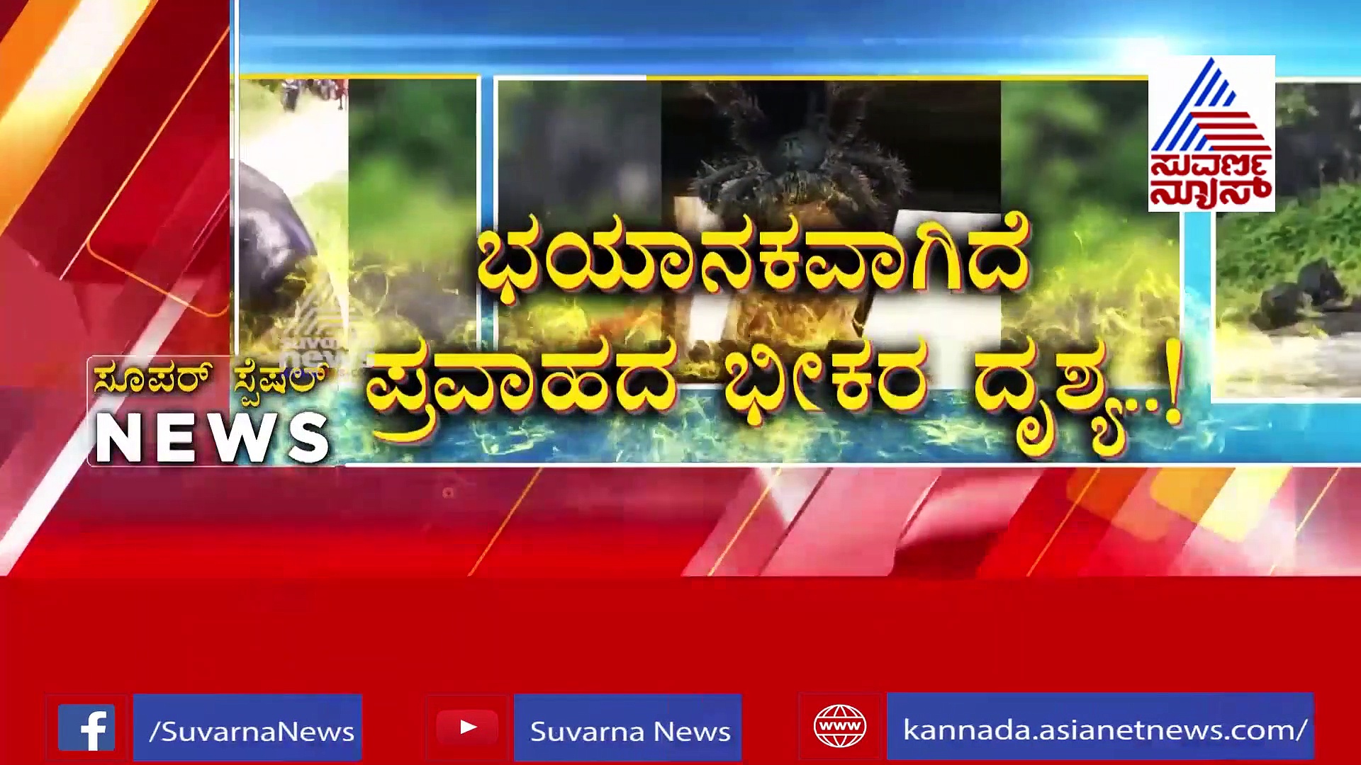 ಪೋಲಿ ಏಡಿಯೊಂದು ಧಮ್ ಹೊಡಿಯೋದನ್ನು ನೋಡಿದ್ದೀರಾ?