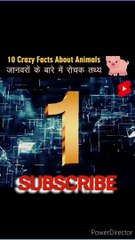 Descargar video: Interesting facts//facts//Top 10 Facts//amazing facts//fact videos//Viral facts// amazing facts of animals