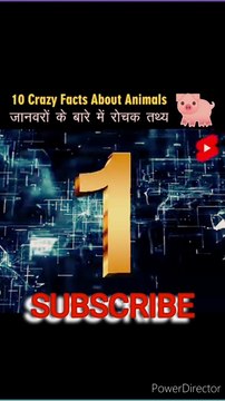 Interesting facts//facts//Top 10 Facts//amazing facts//fact videos//Viral facts// amazing facts of animals