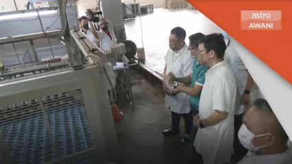Isu Kekurangan Ayam | Bekalan dijangka pulih 2 minggu lagi