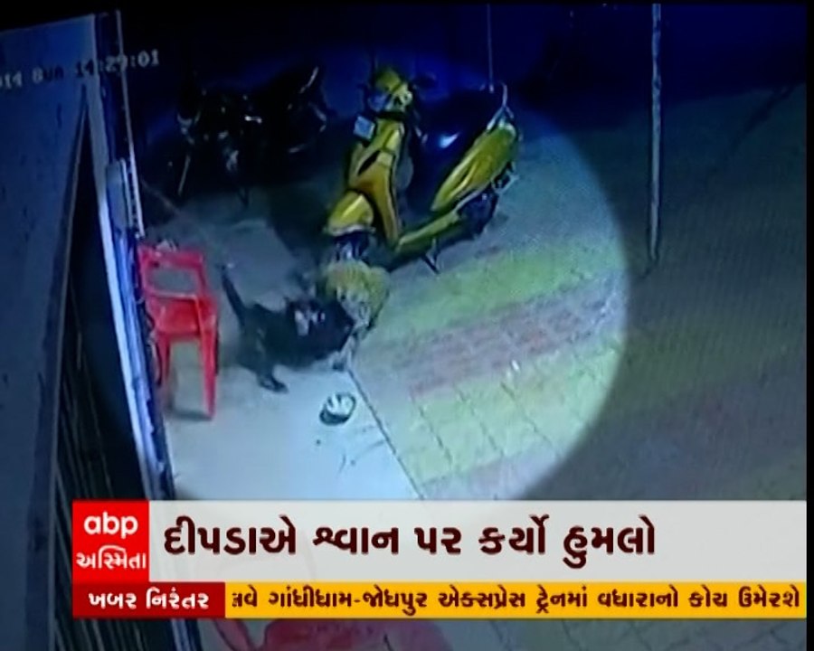 સાપુતારામાં દીપડાની દહેશત, શ્વાન પર કર્યો હુમલો