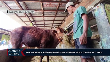 PMK Merebak, Pedagang Hewan Kurban Kesulitan Mendapatkan SKKH