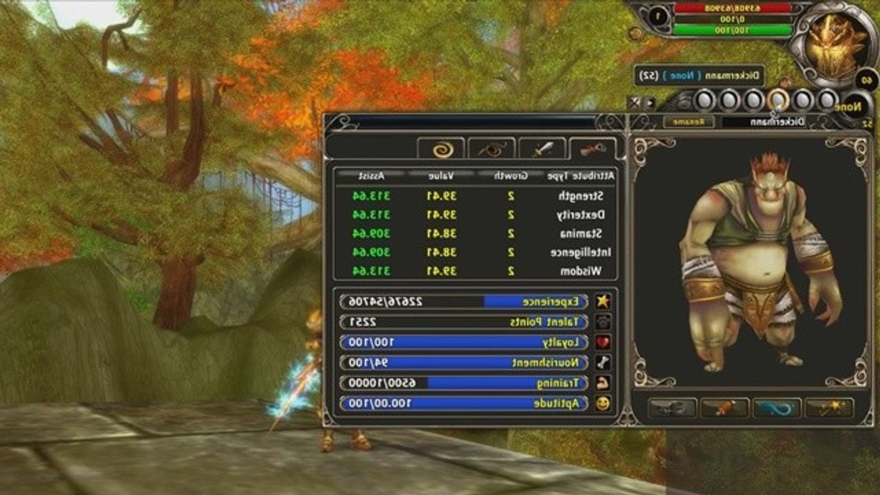 Runes of Magic - Tutorial-Video zum Pet-System
