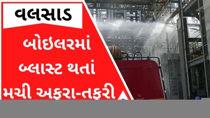 વલસાડઃ કંપનીમાં બ્લાસ્ટ પછી ફાટી નીકળી આગ, ઇજાગ્રસ્તોને હોસ્પિટલમાં ખસેડાયા