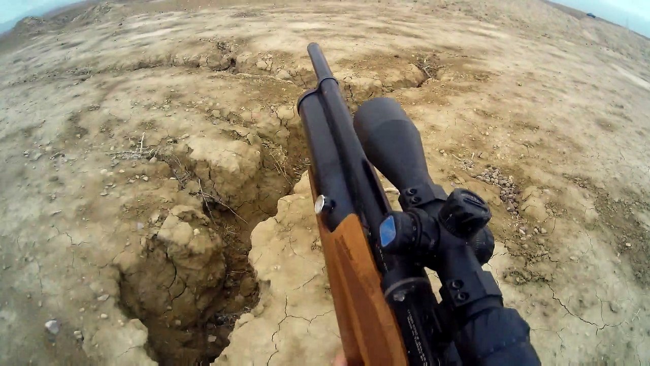 Beautiful duck hunting with PCP Long Range air rifle