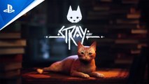 Tráiler y fecha de lanzamiento de Stray: el videojuego del gato llega este verano