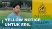 Mengenal Yellow Notice, Diterbitkan Interpol untuk Putra Ridwan Kamil | Katadata Indonesia