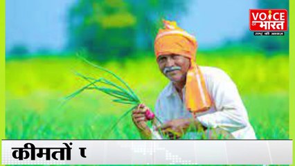 Bundelkhand News: गंभीर सूखे की चपेट में बुंदेलखंड | Bundelkhand in the grip of severe drought