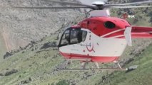 Hastalanan bebek, helikopterle sevk edildi