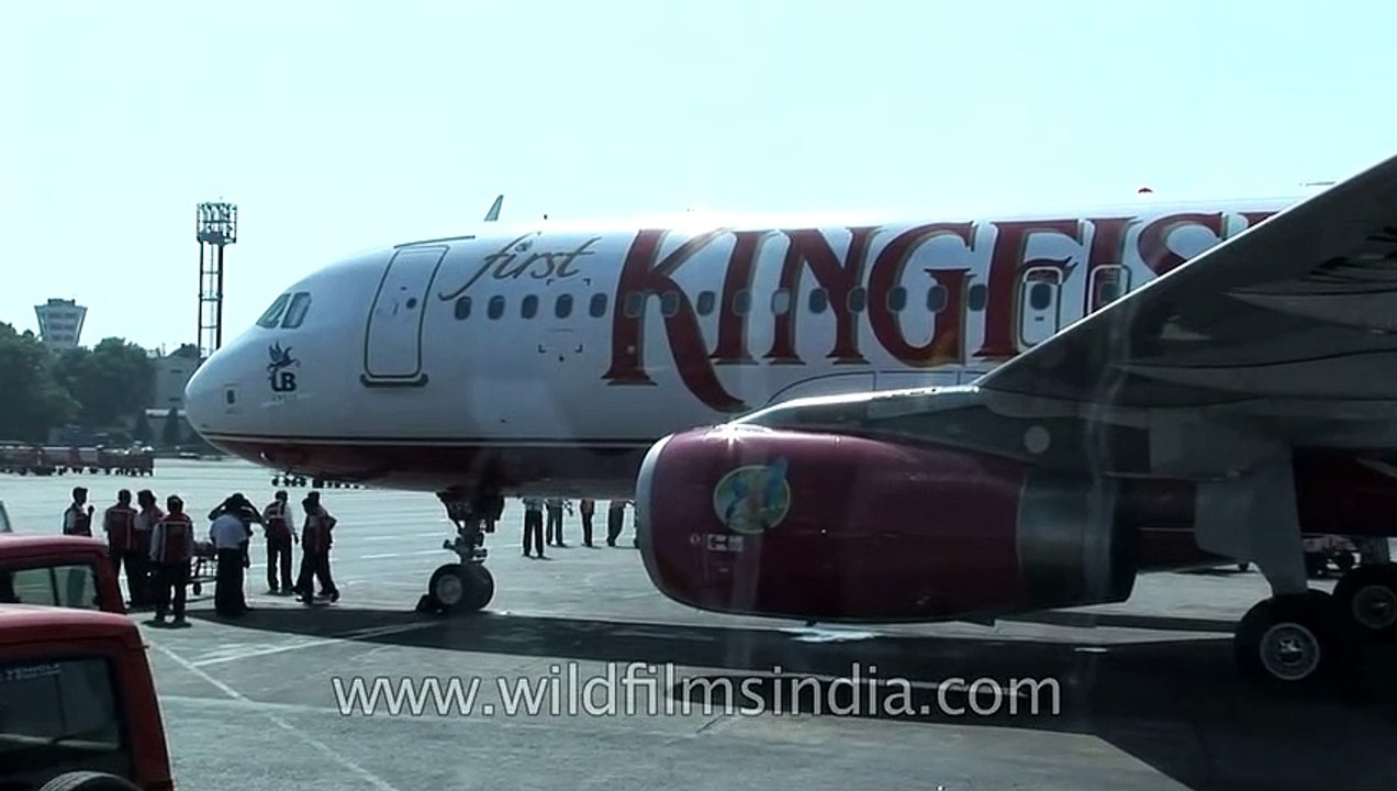 Kingfisher and Jet Airways planes on runway_ both defunct airlines