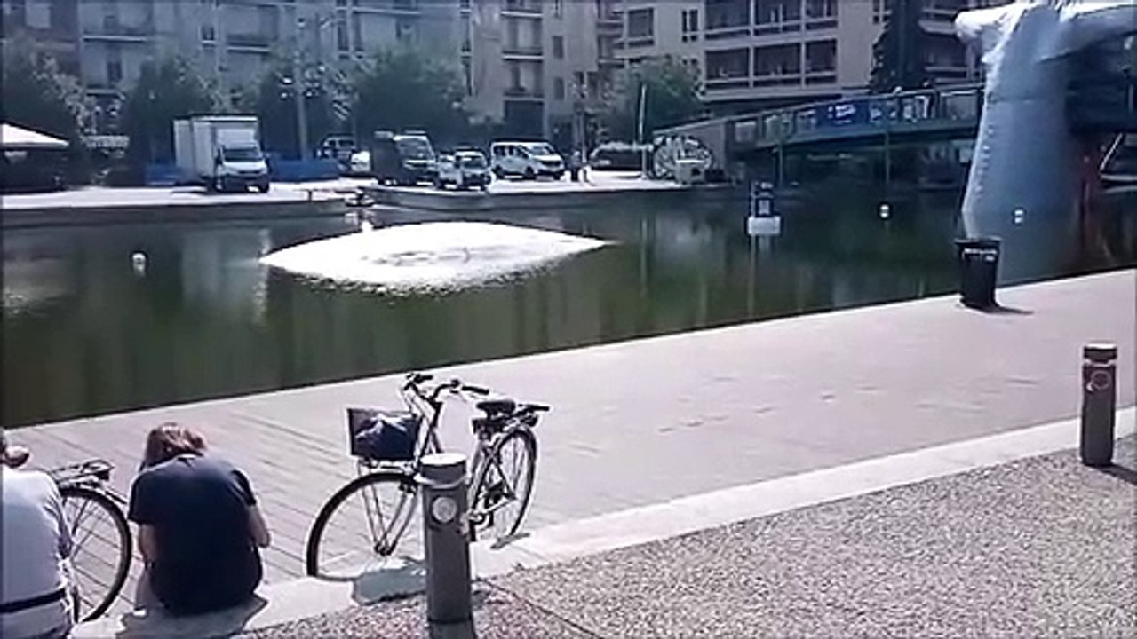 Milano, spunta una balena in Darsena