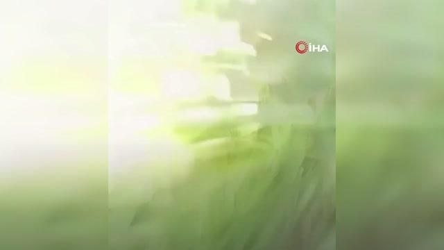 ABD'de cenaze töreninde silahlı saldırı paniğiIowa'da da kiliseye silahlı saldırı: 2 ölü