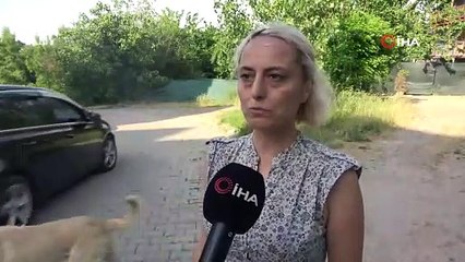 Köpeğe çarpıp yoluna devam etti, güvenlik kamerasına yakalandı